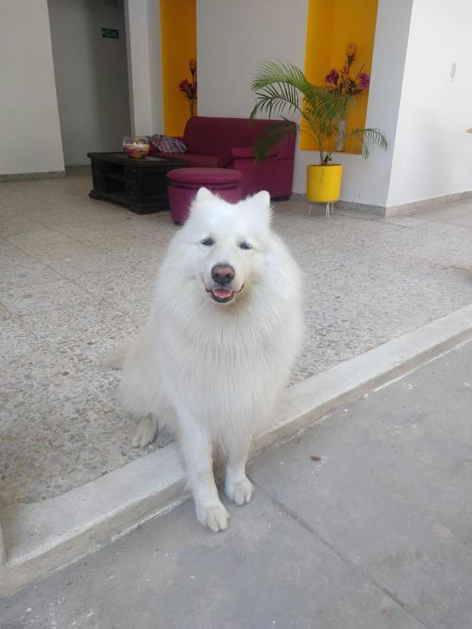 Casa De Luna ลา โดราดา ภายนอก รูปภาพ